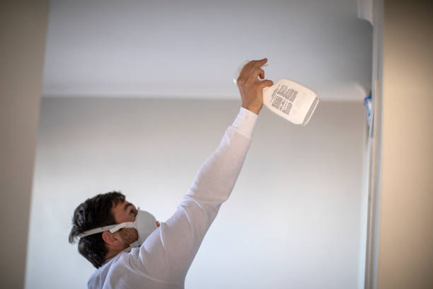 Attic Mold Removal in Mountainside, NJ