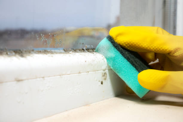 Best Mold Testing  in Mountainside, NJ