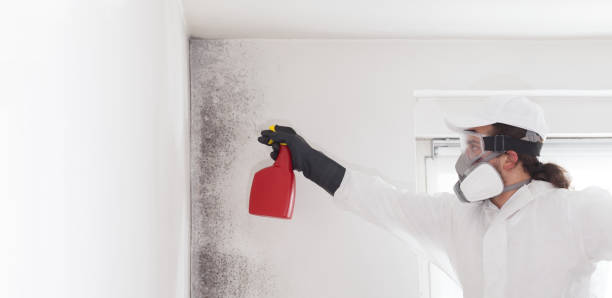 Best Commercial Mold Removal  in Mountainside, NJ