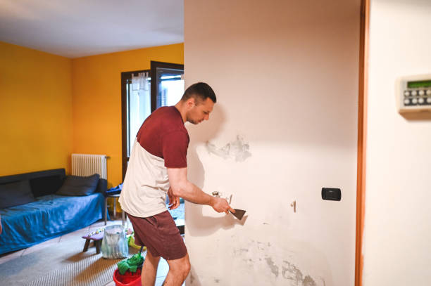 Best Crawl Space Mold Removal  in Mountainside, NJ